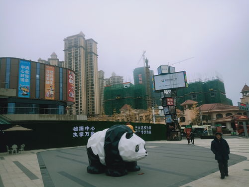 四川巴中 房地產銷售亂象調查 優筑歐洲城突出