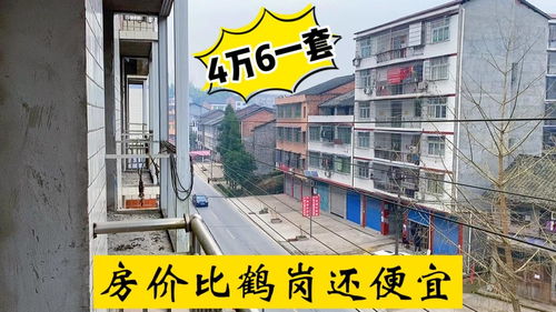 四川小城驚現4.6萬三室一廳，房價竟比鶴崗還低