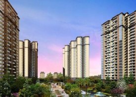 四川科華房地產(chǎn)開發(fā) 區(qū)域?qū)I(yè)化與市場機(jī)遇