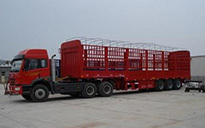 廣州至秀山縣貨運物流專線服務 錦成貨運部引領(lǐng)高效運輸新標桿