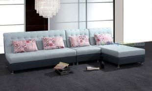 邯鄲市家具及寵物用品供應全解析 批發、進貨與定制一體化服務